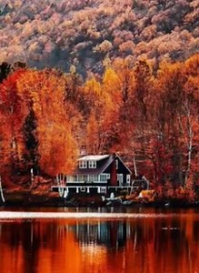 C’è una luce diversa nell’autunno... C’è una velleità di tregua, un bisogno di avvolgersi nei colori e nelle case. ~♡~ | Il lato in fiore