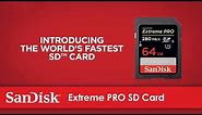 SanDisk Extreme PRO® SDHC™/SDXC™ UHS-II Memory Card | Official Product Overview