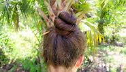 How to use a Hair Stick to do a Bun or Top Knot