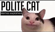 'Polite Cat' memes explained