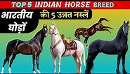 top 5 Indian horse breed || best indian horse breed || marwari horse || kathiyawadi horse
