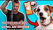 DOG RESCUER reviews best Apple Airtag Collar Attachments from Amazon - Tye Friis