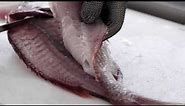 Snapper Filleting- simple easy instructions