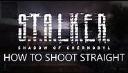 S.T.A.L.K.E.R.: Shadow of Chernobyl: How to Shoot Straight