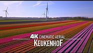 KEUKENHOF 🇳🇱 AMSTERDAM Drone 4K World's largest Tulip Fields 2024