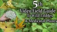 The 5th Video Field Guide to Wild Edibles and Medicinal Plants