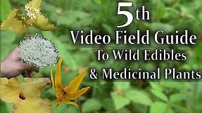 The 5th Video Field Guide to Wild Edibles and Medicinal Plants