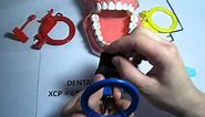 How to use an Anterior (blue) XCP dental film / PSP holder for Dental Xrays