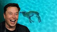 Elon Musk Laughing at Dead Deer