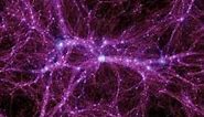 The Bio-Plasma Universe