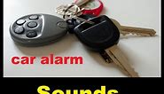 Car Alarm Sound Effects All Sounds