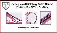 Histology of the Retina [Special Senses Histology Part 3 of 4]