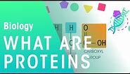What Are Proteins | Cells | Biology | FuseSchool