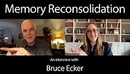 Memory Reconsolidation: A Unified Framework for Experiential Therapy | Coherence Therapy - Part 5/5