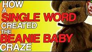 How a Single Word Created the Beanie Baby Craze (Our favourite toy collections)