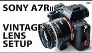 Sony A7Rii: How to setup vintage lenses (manual focus)