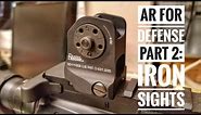 AR-15 for Defense: Part 2 Daniel Defense Iron Sights