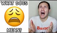 What does the Weary Face Emoji mean? | Emojis 101