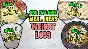 300 Calorie Meal Ideas // How To Make 300 Calorie Healthy WEIGHT LOSS Meals