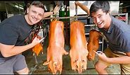 Taiwanese Food - CRAZY BBQ Suckling Pig FEAST with @LoganBeck in Taichung, Taiwan!!