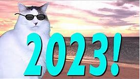 HAPPY BIRTHDAY 2023! - EPIC CAT Happy Birthday Song