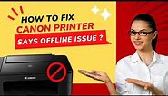How to Fix Canon Printer Says Offline Issue? | Printer Tales