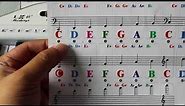 Piano Keyboard Stickers Specially for 61/54/49/37 Key.Colorful Bigger Letter,Thinner Material
