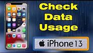 How to check data usage on iPhone 13