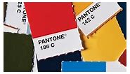 Color Palette - Brand Standards