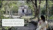 Exploring the San Gervasio Mayan Ruins in Cozumel, México 🇲🇽
