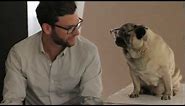 Warby Barker: Glasses for Dogs