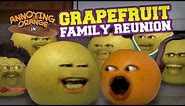 Annoying Orange - Grapefruit Family Reunion!