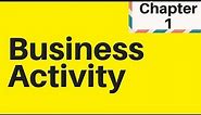 1.1 Understanding Business Activity IGCSE Business studies