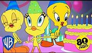 Looney Tunes | Happy Birthday Tweety!💛🎂 | @WB Kids