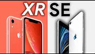 IPhone SE (2020) vs iPhone XR, ¿cuál COMPRAR?