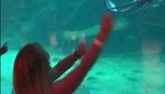 Playful Mermaids at Atlantis Bahamas | Mermaid Show