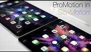 iPad Pro 10.5-inch 120Hz ProMotion In Slow Motion (4K60)