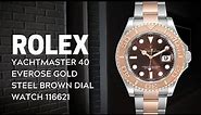 Rolex Yachtmaster 40 Everose Gold Steel Brown Dial Watch 116621 Review | SwissWatchExpo
