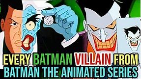 35 (Every) Batman Villain From Batman The Animated Series - Explored - The Greatest Batman Cartoon!