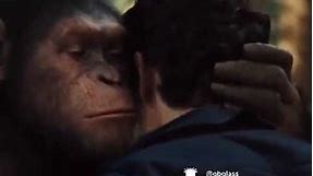 Planet of the apes meme