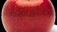EverCrisp Apple Review - Apple Rankings by The Appleist Brian Frange