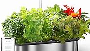 LetPot LPH-SE Hydroponics Growing System, 12 Pods Smart Herb Garden Kit Indoor, Indoor Garden, APP & WiFi Controlled, with 24W Growing LED, 5.5L Water Tank, Pump System, Automatic Timer