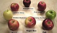 Apples 101 - About Braeburn Apples