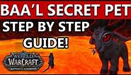 World of Warcraft Baa'l Battle Pet | FULL Step by Step Tutorial Guide to unlock WoW's latest secret!