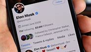 Who owned Twitter before Elon Musk?