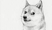 How To Draw Doge (for beginners)