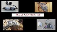 Real Animal Skull Carving 101: What you need to get started!