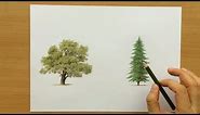 How to Draw Trees With Colored Pencils - Drawing Tutorial