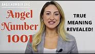 1001 ANGEL NUMBER - True Meaning Revealed