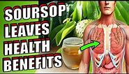 9 INCREDIBLE Health Benefits of SOURSOP LEAVES, Juice, Root & Tea